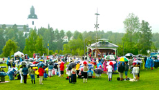 Swedes enjoying midsummer